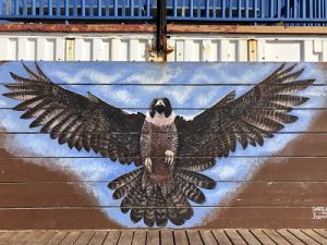 painting of falcon on side of building