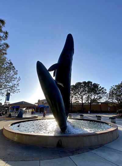 Statues of two large whales rising out of water at entrance to Birch Aquarium in La Jolla