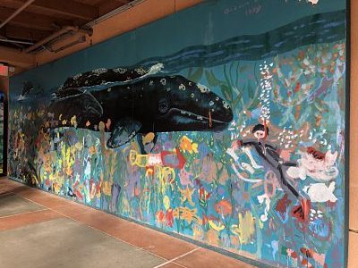 Wyland whale and scuba diver mural at Birch Aquarium